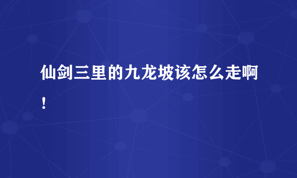 仙剑三里的九龙坡该怎么走啊！