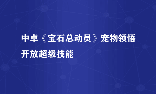 中卓《宝石总动员》宠物领悟开放超级技能