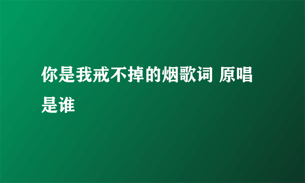 你是我戒不掉的烟歌词 原唱是谁