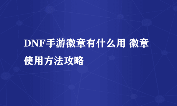 DNF手游徽章有什么用 徽章使用方法攻略