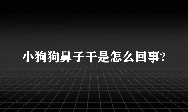 小狗狗鼻子干是怎么回事?