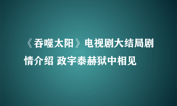 《吞噬太阳》电视剧大结局剧情介绍 政宇泰赫狱中相见