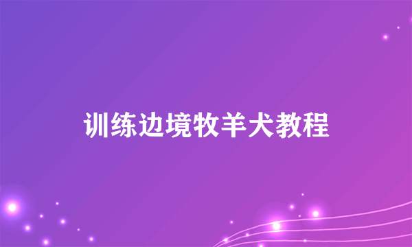 训练边境牧羊犬教程