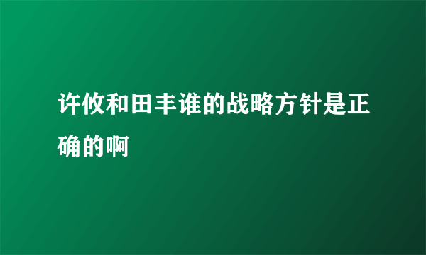 许攸和田丰谁的战略方针是正确的啊