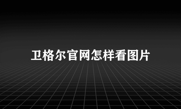 卫格尔官网怎样看图片