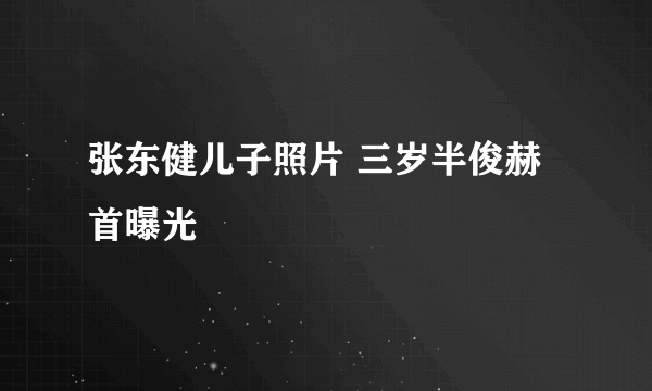 张东健儿子照片 三岁半俊赫首曝光