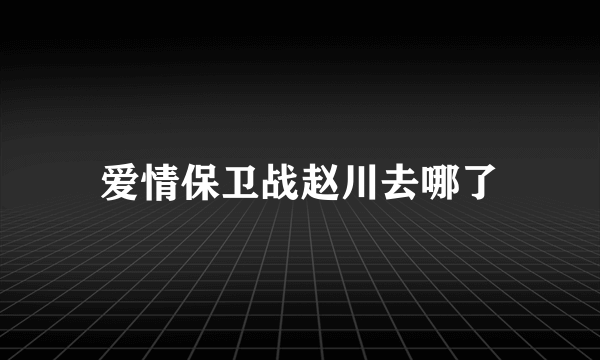 爱情保卫战赵川去哪了