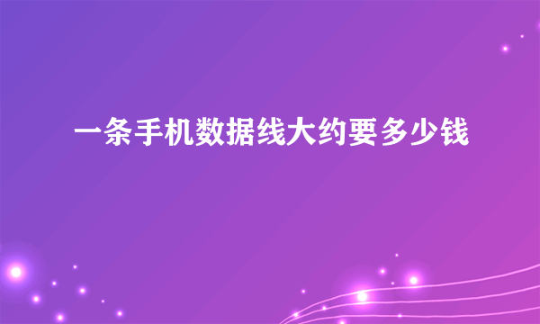 一条手机数据线大约要多少钱