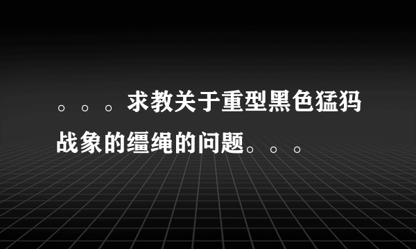 。。。求教关于重型黑色猛犸战象的缰绳的问题。。。