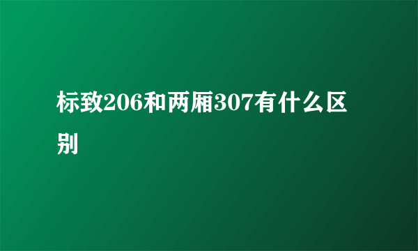 标致206和两厢307有什么区别