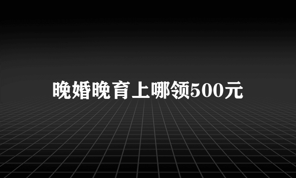 晚婚晚育上哪领500元