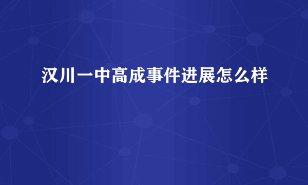 汉川一中高成事件进展怎么样