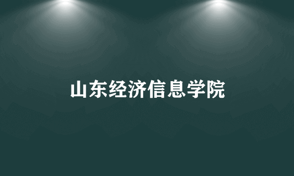 山东经济信息学院