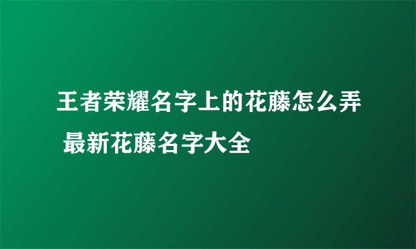 王者荣耀名字上的花藤怎么弄 最新花藤名字大全