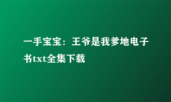 一手宝宝：王爷是我爹地电子书txt全集下载