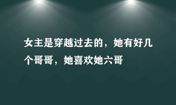 女主是穿越过去的，她有好几个哥哥，她喜欢她六哥