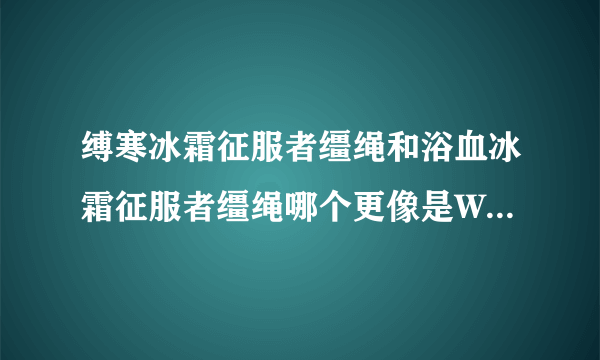 缚寒冰霜征服者缰绳和浴血冰霜征服者缰绳哪个更像是WLK宣传片的那只。