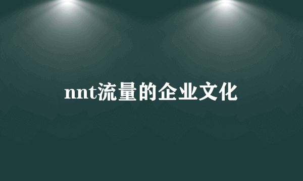 nnt流量的企业文化