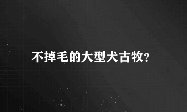 不掉毛的大型犬古牧？