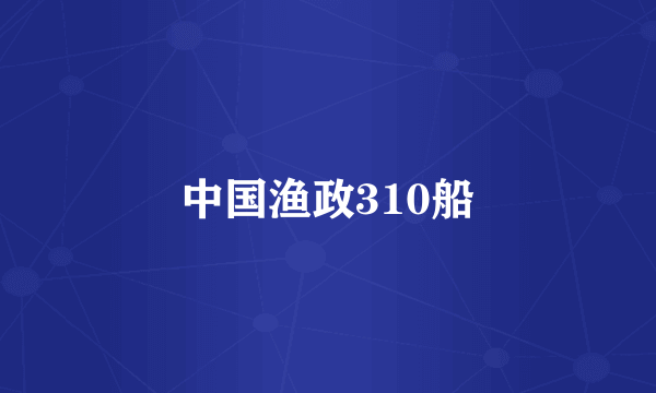 中国渔政310船