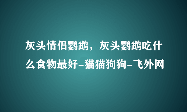 灰头情侣鹦鹉，灰头鹦鹉吃什么食物最好-猫猫狗狗-飞外网