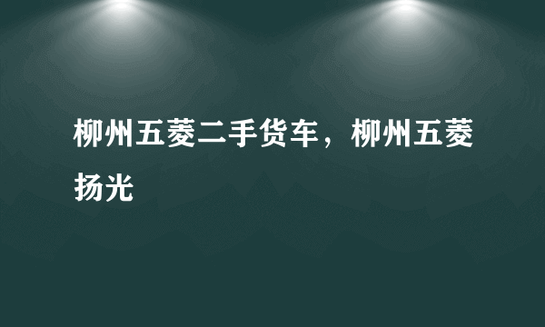 柳州五菱二手货车，柳州五菱扬光