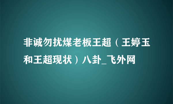 非诚勿扰煤老板王超（王婷玉和王超现状）八卦_飞外网