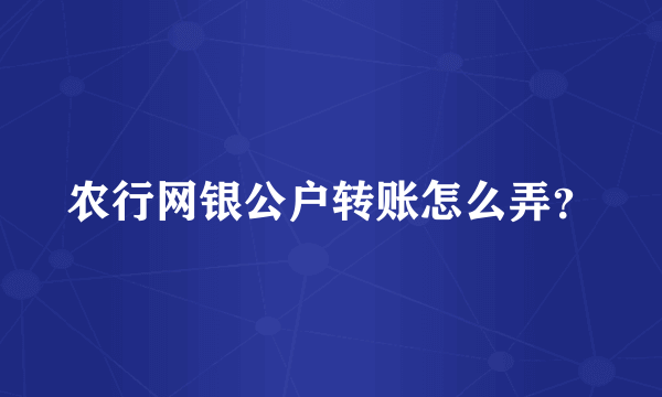 农行网银公户转账怎么弄？