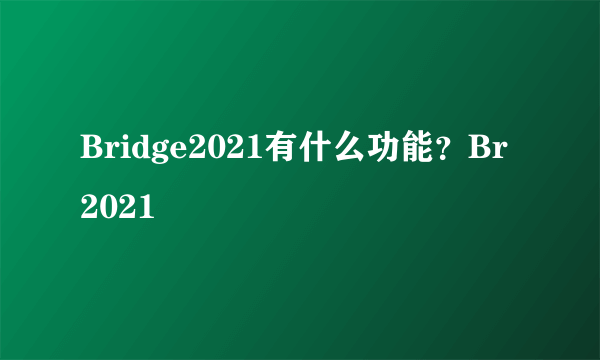 Bridge2021有什么功能？Br 2021