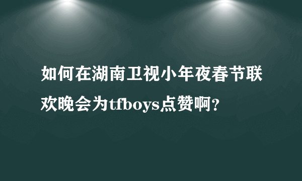 如何在湖南卫视小年夜春节联欢晚会为tfboys点赞啊？