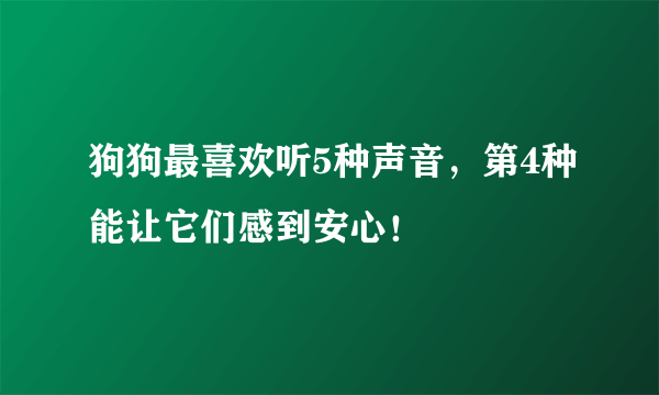 狗狗最喜欢听5种声音，第4种能让它们感到安心！