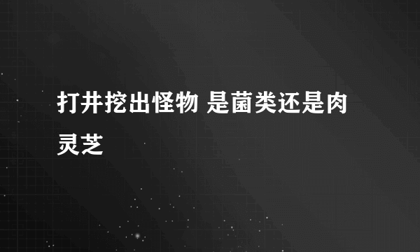 打井挖出怪物 是菌类还是肉灵芝