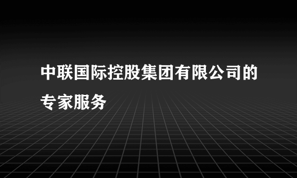 中联国际控股集团有限公司的专家服务