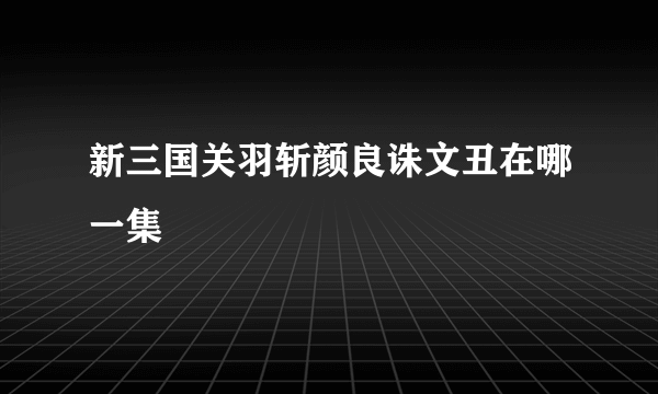 新三国关羽斩颜良诛文丑在哪一集