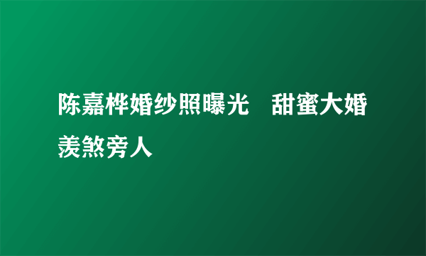 陈嘉桦婚纱照曝光   甜蜜大婚羡煞旁人