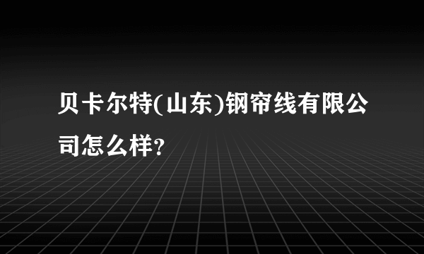 贝卡尔特(山东)钢帘线有限公司怎么样？