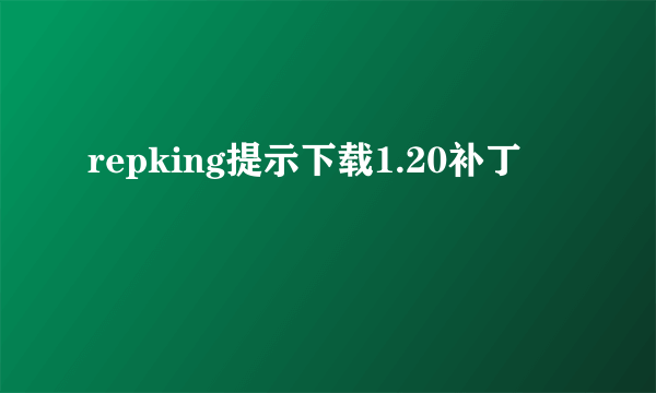 repking提示下载1.20补丁