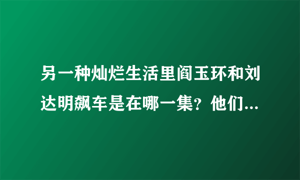 另一种灿烂生活里阎玉环和刘达明飙车是在哪一集？他们开的车是什么牌子什么型号的？