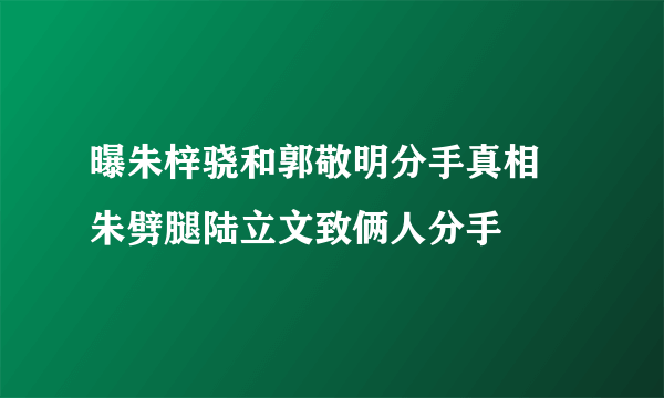 曝朱梓骁和郭敬明分手真相 朱劈腿陆立文致俩人分手