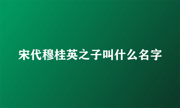 宋代穆桂英之子叫什么名字