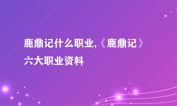 鹿鼎记什么职业,《鹿鼎记》六大职业资料