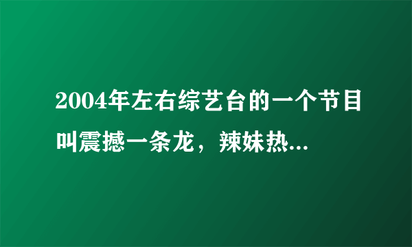 2004年左右综艺台的一个节目叫震撼一条龙，辣妹热舞节目，谁知道哪有看