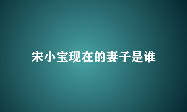 宋小宝现在的妻子是谁