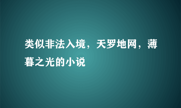 类似非法入境，天罗地网，薄暮之光的小说