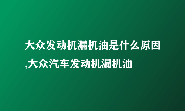 大众发动机漏机油是什么原因,大众汽车发动机漏机油