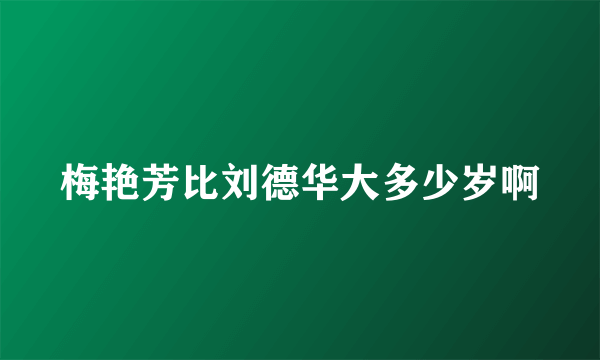 梅艳芳比刘德华大多少岁啊