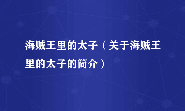 海贼王里的太子（关于海贼王里的太子的简介）