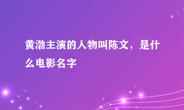 黄渤主演的人物叫陈文，是什么电影名字