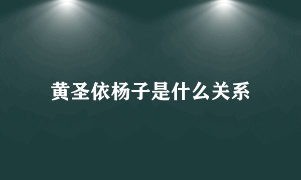 黄圣依杨子是什么关系