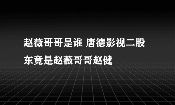 赵薇哥哥是谁 唐德影视二股东竟是赵薇哥哥赵健